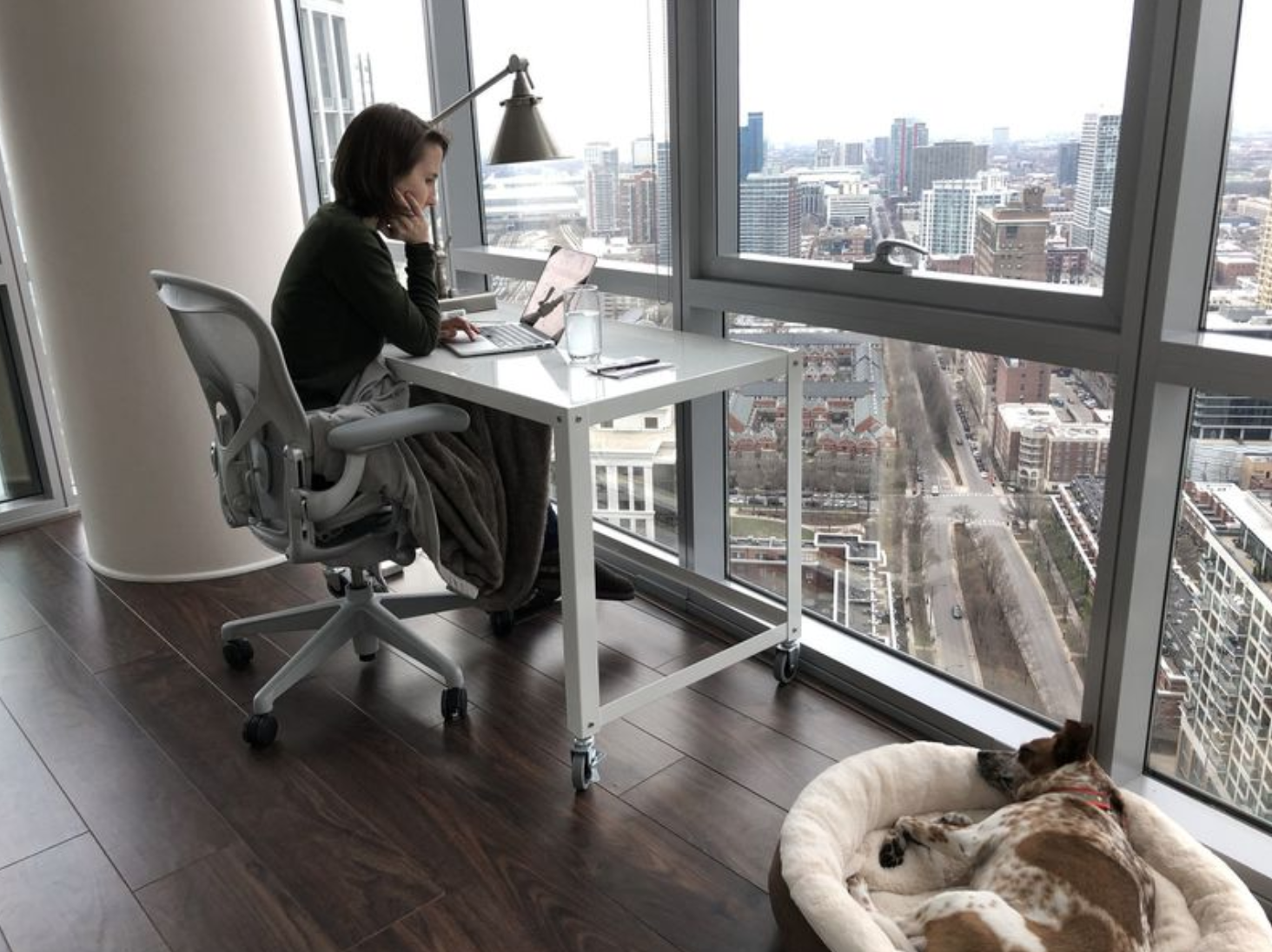 A woman with shoulder-length brown hair sits at her desk with her back towards the camera in a nice apartment with floor to ceiling windows giving a view of Chicago. Her medium-sized white and brown dog lays a few feet away in a cream-colored dog bed.  